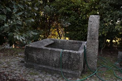 Quinta, Paços de Ferreira