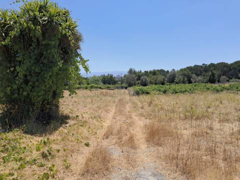 Vende-se quinta de 4 hectares com área de construção ideal para projeto residencial ou turístico