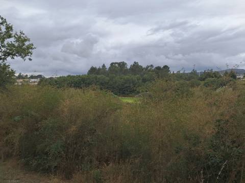 Terreno rústico com vistas para o Rio