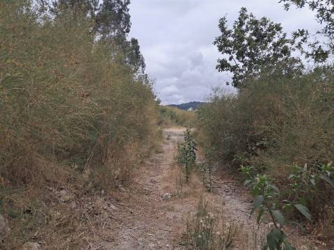 Terreno rústico com vistas para o Rio