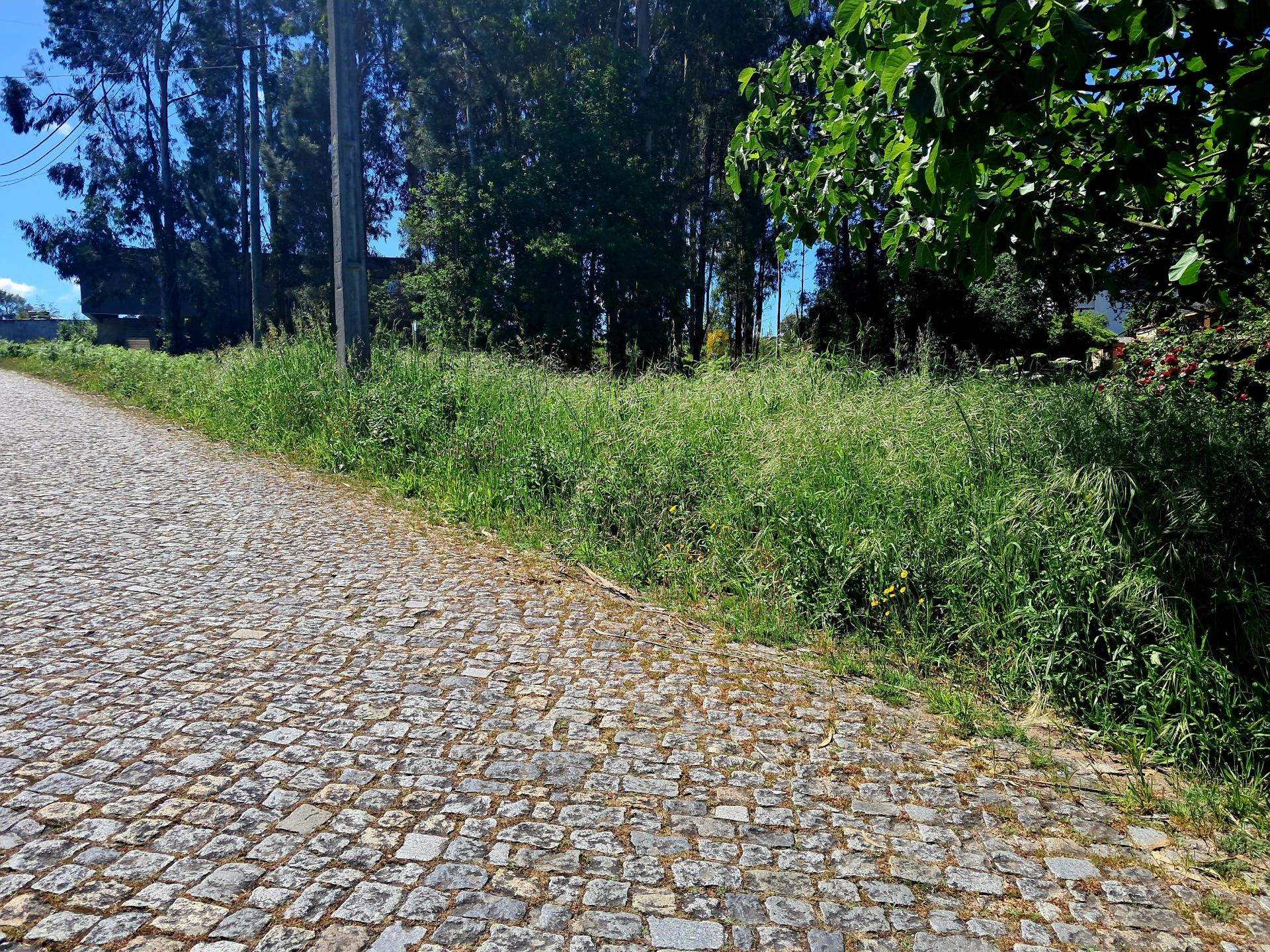 Terreno com 1900m2 com excelente exposição solar e um ambiente tranquilo