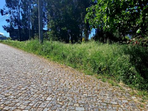 Terreno com 1900m2 com excelente exposição solar e um ambiente tranquilo