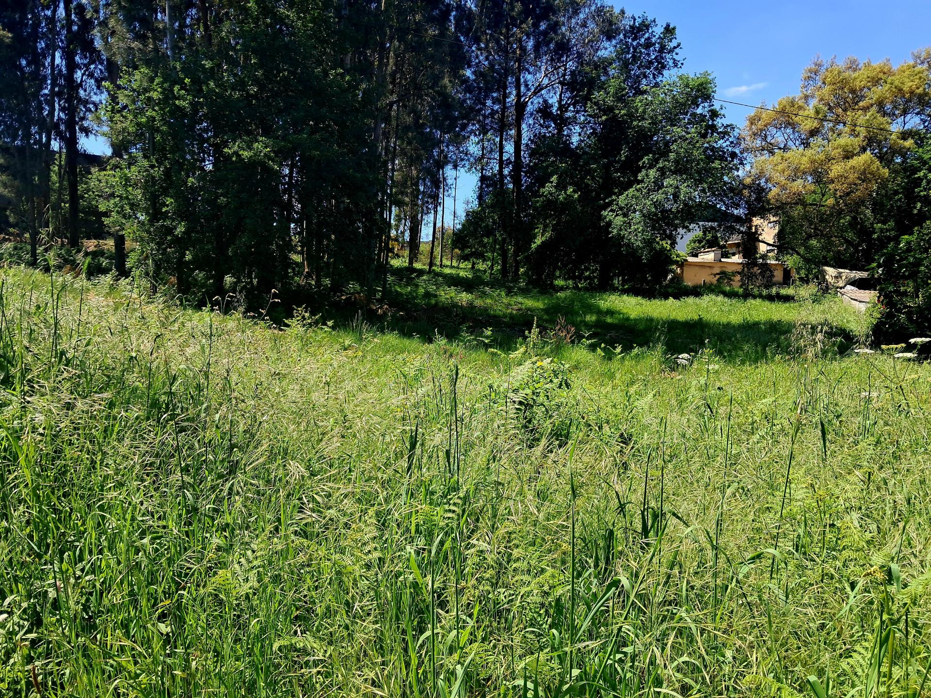 Terreno com 1900m2 com excelente exposição solar e um ambiente tranquilo