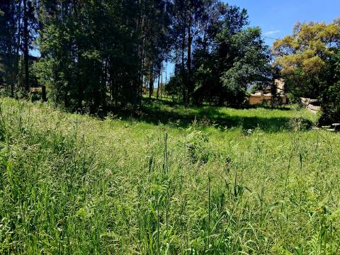 Terreno com 1900m2 com excelente exposição solar e um ambiente tranquilo