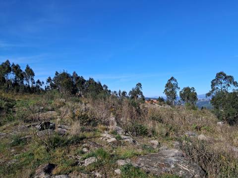 Terreno com vista rio