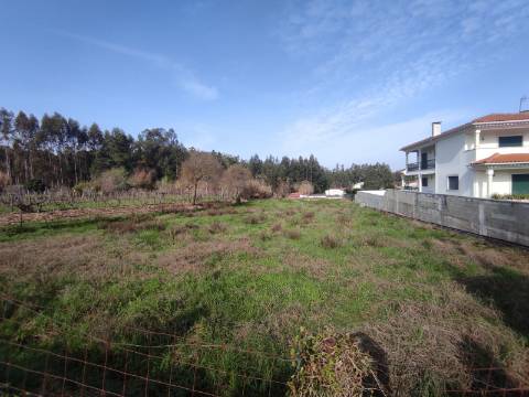 Terreno para construção de armazém