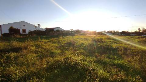 Terreno Urbano em São Martinho do Bispo