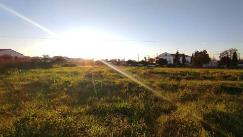 Terreno Urbano em São Martinho do Bispo