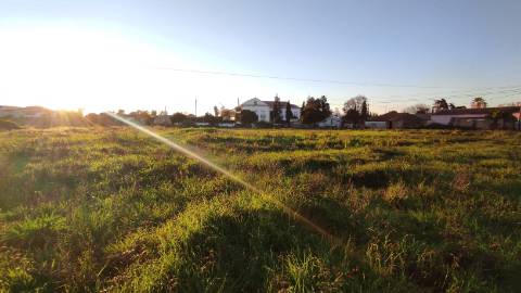 Terreno Urbano em São Martinho do Bispo