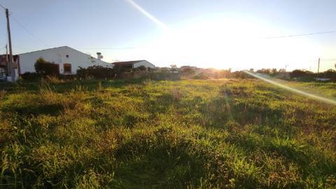 Terreno Urbano em São Martinho do Bispo