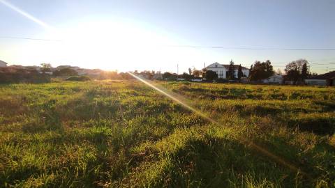 Terreno Urbano em São Martinho do Bispo