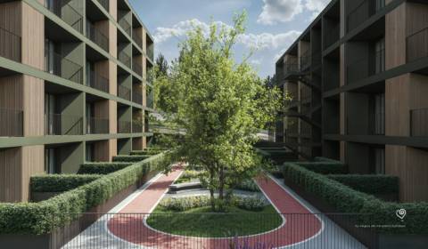 Apartamento T1 em Celas