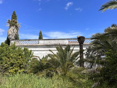 Moradia senhorial sumptuosa I construída em 1895 I 458 m2 I Terreno de 1 403 m2 I Para renovar I Vila de Santa Catarina