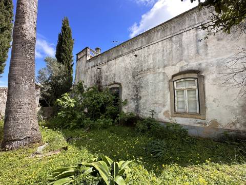 Moradia senhorial sumptuosa I construída em 1895 I 458 m2 I Terreno de 1 403 m2 I Para renovar I Vila de Santa Catarina
