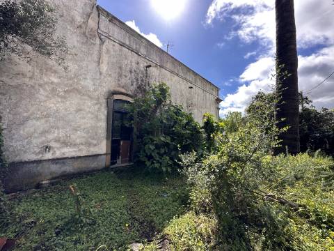 Moradia senhorial sumptuosa I construída em 1895 I 458 m2 I Terreno de 1 403 m2 I Para renovar I Vila de Santa Catarina