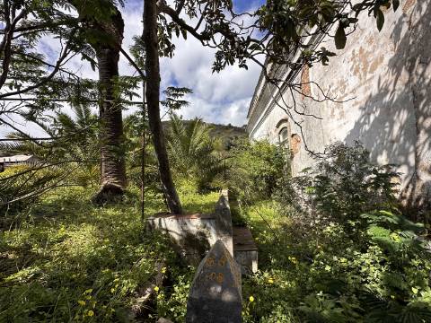 Moradia senhorial sumptuosa I construída em 1895 I 458 m2 I Terreno de 1 403 m2 I Para renovar I Vila de Santa Catarina