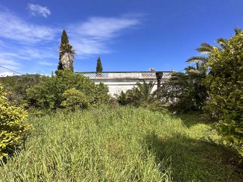 Moradia senhorial sumptuosa I construída em 1895 I 458 m2 I Terreno de 1 403 m2 I Para renovar I Vila de Santa Catarina