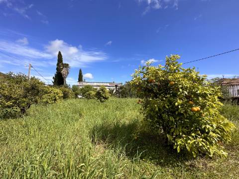 Moradia senhorial sumptuosa I construída em 1895 I 458 m2 I Terreno de 1 403 m2 I Para renovar I Vila de Santa Catarina