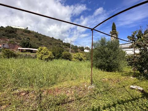 Moradia senhorial sumptuosa I construída em 1895 I 458 m2 I Terreno de 1 403 m2 I Para renovar I Vila de Santa Catarina