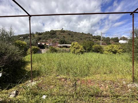 Moradia senhorial sumptuosa I construída em 1895 I 458 m2 I Terreno de 1 403 m2 I Para renovar I Vila de Santa Catarina