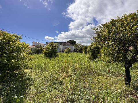 Moradia senhorial sumptuosa I construída em 1895 I 458 m2 I Terreno de 1 403 m2 I Para renovar I Vila de Santa Catarina