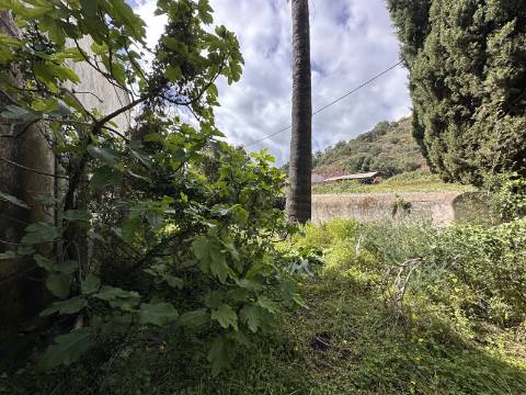 Moradia senhorial sumptuosa I construída em 1895 I 458 m2 I Terreno de 1 403 m2 I Para renovar I Vila de Santa Catarina