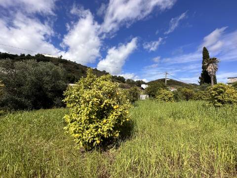 Moradia senhorial sumptuosa I construída em 1895 I 458 m2 I Terreno de 1 403 m2 I Para renovar I Vila de Santa Catarina
