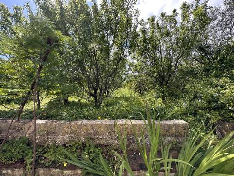 Moradia senhorial sumptuosa I construída em 1895 I 458 m2 I Terreno de 1 403 m2 I Para renovar I Vila de Santa Catarina