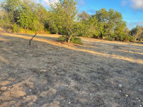 Belo terreno misto para construção de uma moradia perto de Loulé