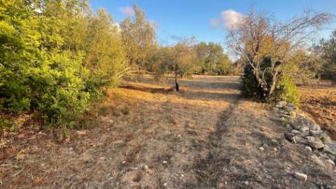Belo terreno misto para construção de uma moradia perto de Loulé