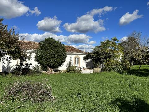 Quinta tradicional para renovar em São Brás de Alportel