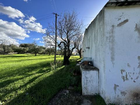 Quinta tradicional para renovar em São Brás de Alportel