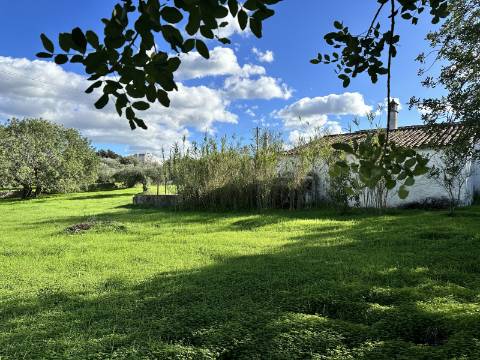 Quinta tradicional para renovar em São Brás de Alportel