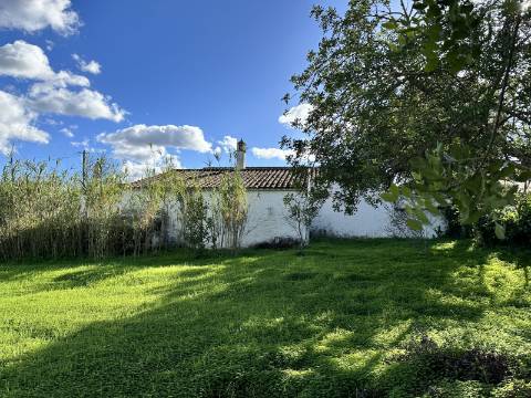 Quinta tradicional para renovar em São Brás de Alportel