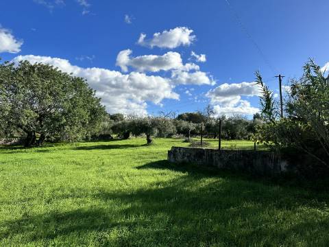 Quinta tradicional para renovar em São Brás de Alportel