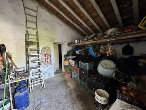 Quinta tradicional para renovar em São Brás de Alportel