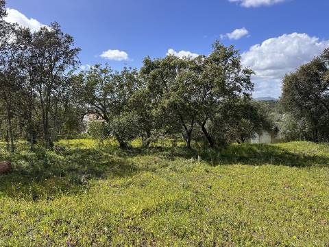 Lote de 2 terrenos urbanos I Projeto aprovado I Para uma moradia com 3 quartos