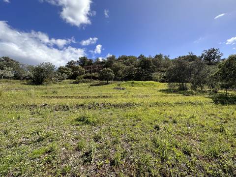 Lote de 2 terrenos urbanos I Projeto aprovado I Para uma moradia com 3 quartos