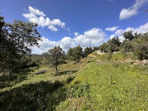 Lote de 2 terrenos urbanos I Projeto aprovado I Para uma moradia com 3 quartos