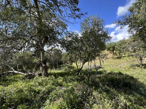Lote de 2 terrenos urbanos I Projeto aprovado I Para uma moradia com 3 quartos