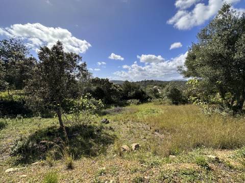 Lote de 2 terrenos urbanos I Projeto aprovado I Para uma moradia com 3 quartos