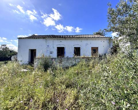 Casa tradicional com charme de 129 m2 para renovar I Terreno de 7 755 m2 I No campo de Luz de Tavira