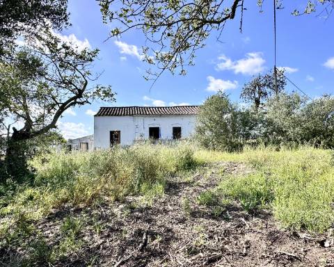 Casa tradicional com charme de 129 m2 para renovar I Terreno de 7 755 m2 I No campo de Luz de Tavira