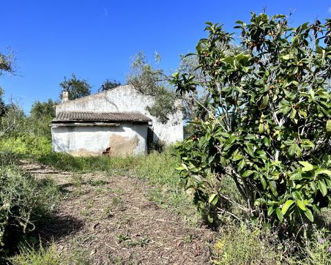 Casa tradicional com charme de 129 m2 para renovar I Terreno de 7 755 m2 I No campo de Luz de Tavira