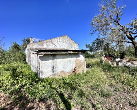 Casa tradicional com charme de 129 m2 para renovar I Terreno de 7 755 m2 I No campo de Luz de Tavira