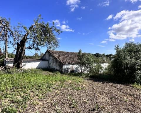 Casa tradicional com charme de 129 m2 para renovar I Terreno de 7 755 m2 I No campo de Luz de Tavira