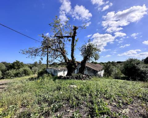 Casa tradicional com charme de 129 m2 para renovar I Terreno de 7 755 m2 I No campo de Luz de Tavira