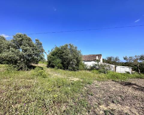 Casa tradicional com charme de 129 m2 para renovar I Terreno de 7 755 m2 I No campo de Luz de Tavira