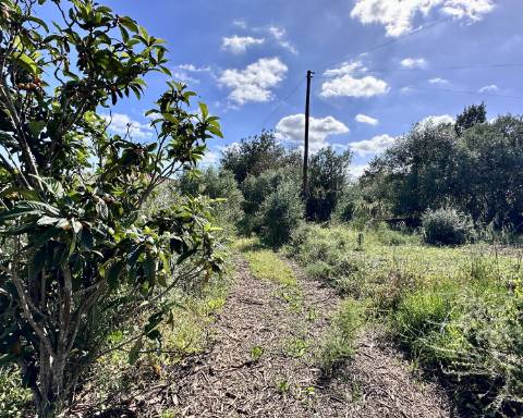 Casa tradicional com charme de 129 m2 para renovar I Terreno de 7 755 m2 I No campo de Luz de Tavira