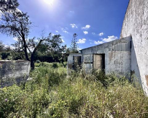Casa tradicional com charme de 129 m2 para renovar I Terreno de 7 755 m2 I No campo de Luz de Tavira